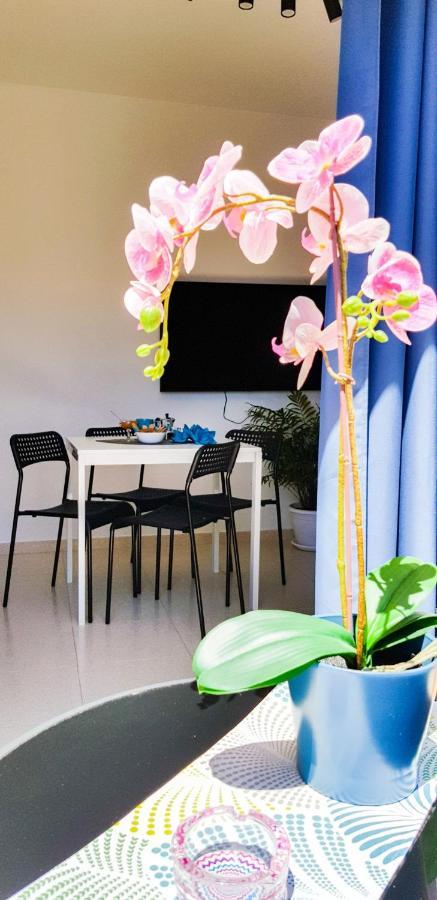Ke Casetta Tenerife Salvador And Santiago Apartments Las Rosas  エクステリア 写真